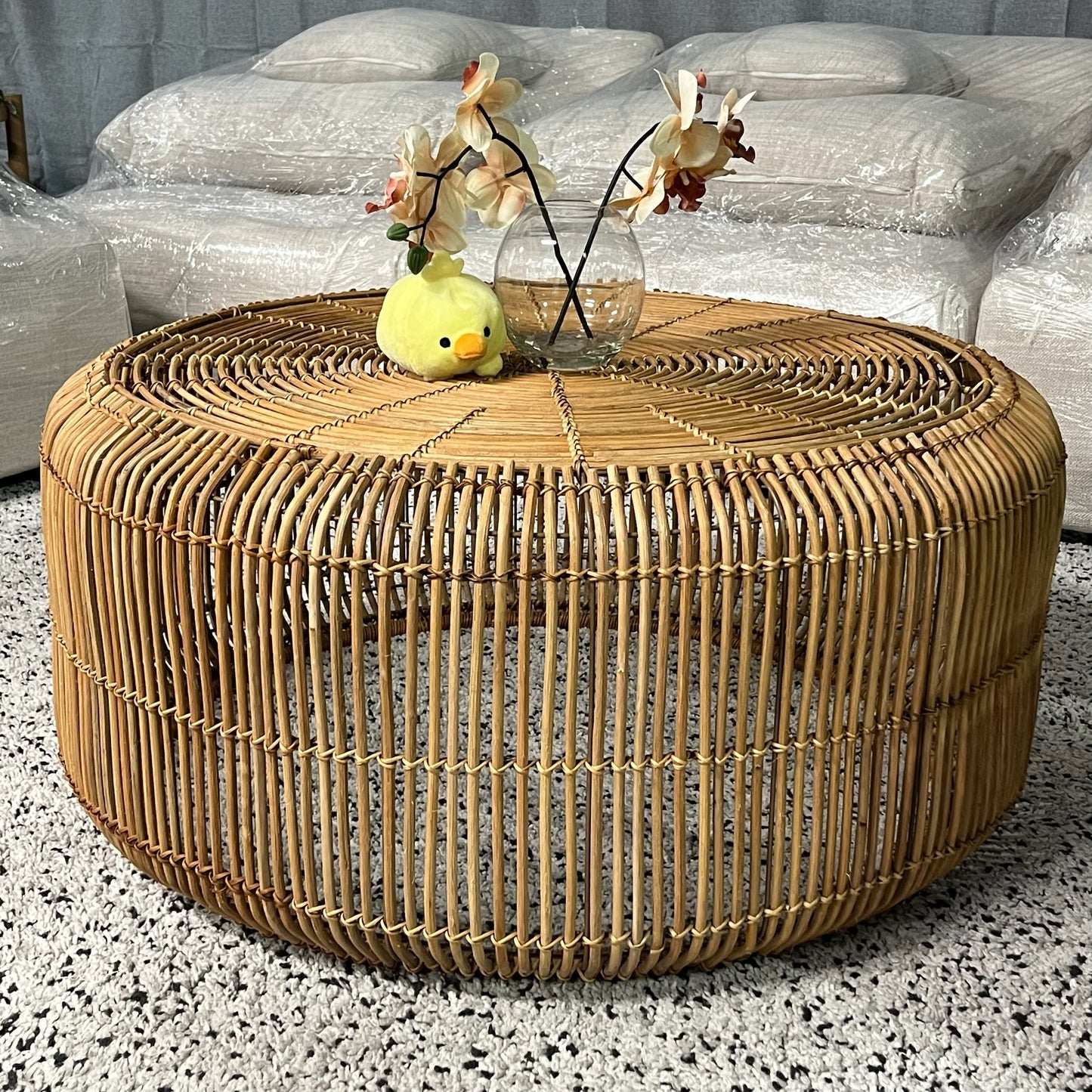 Rattan Coffee Table