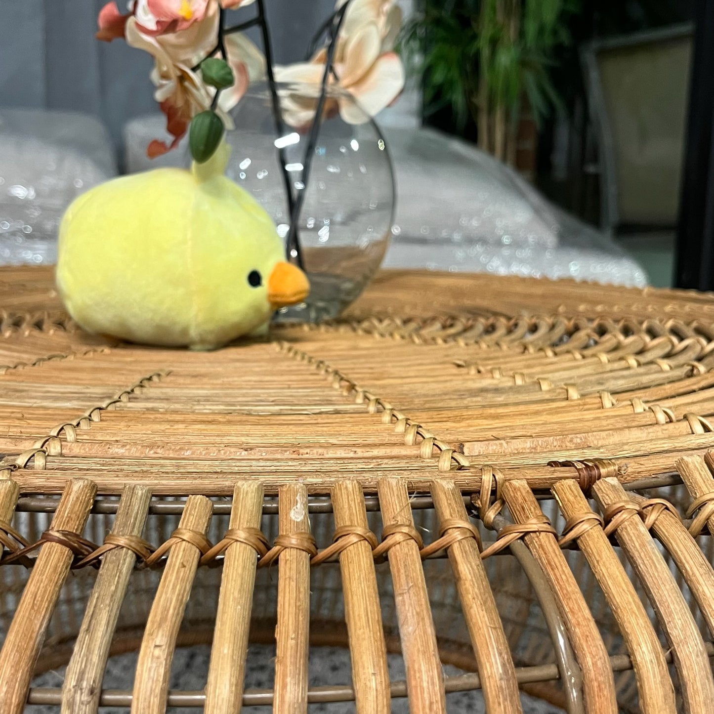 Rattan Coffee Table